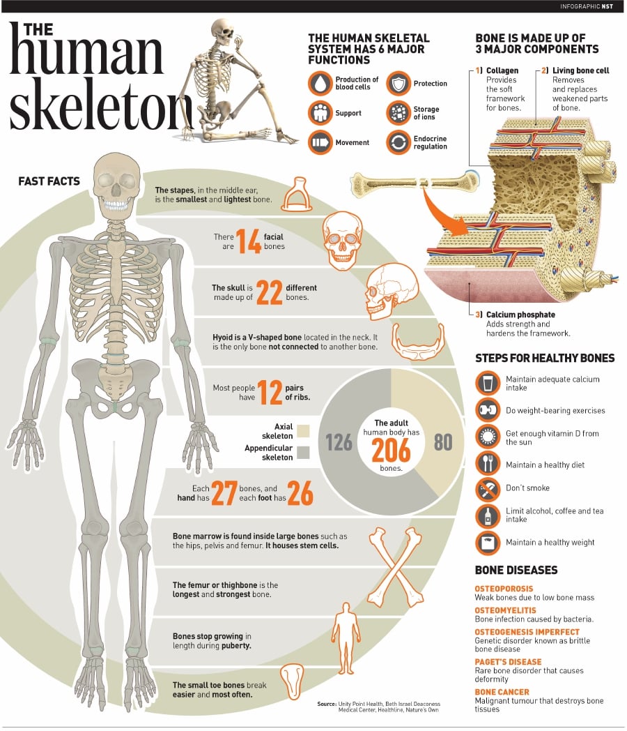 Infographic New Straits Times Malaysia General 57684 Hot Sex Picture 3036