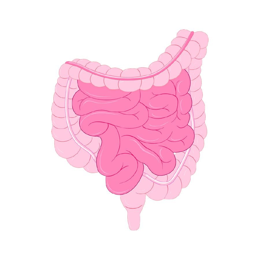 Colorectal cancer is now the most common cancer among Malaysian males and the second most common among females.