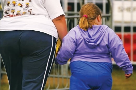 The fat of the matter: Compounding childhood obesity are ...
