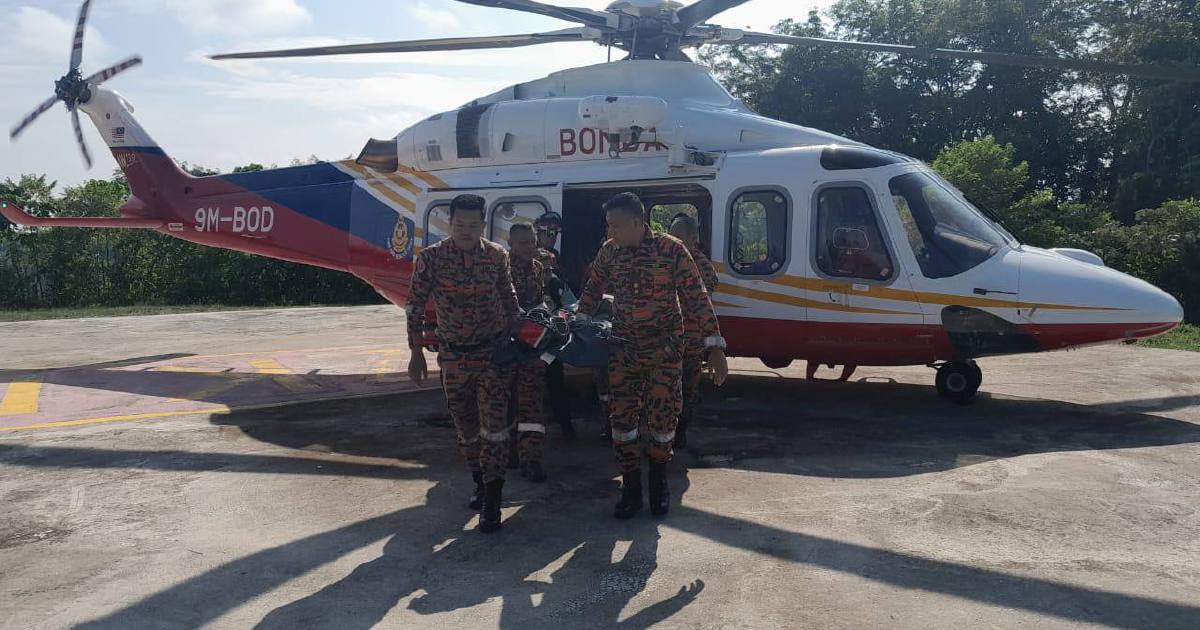 Uni student bitten by venomous snake while hiking Gunung Tahan rescued ...