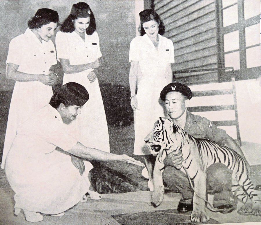 A Gurkha soldier showing off Nepti to a group of nurses in Negri Sembilan in the early 1950s. 