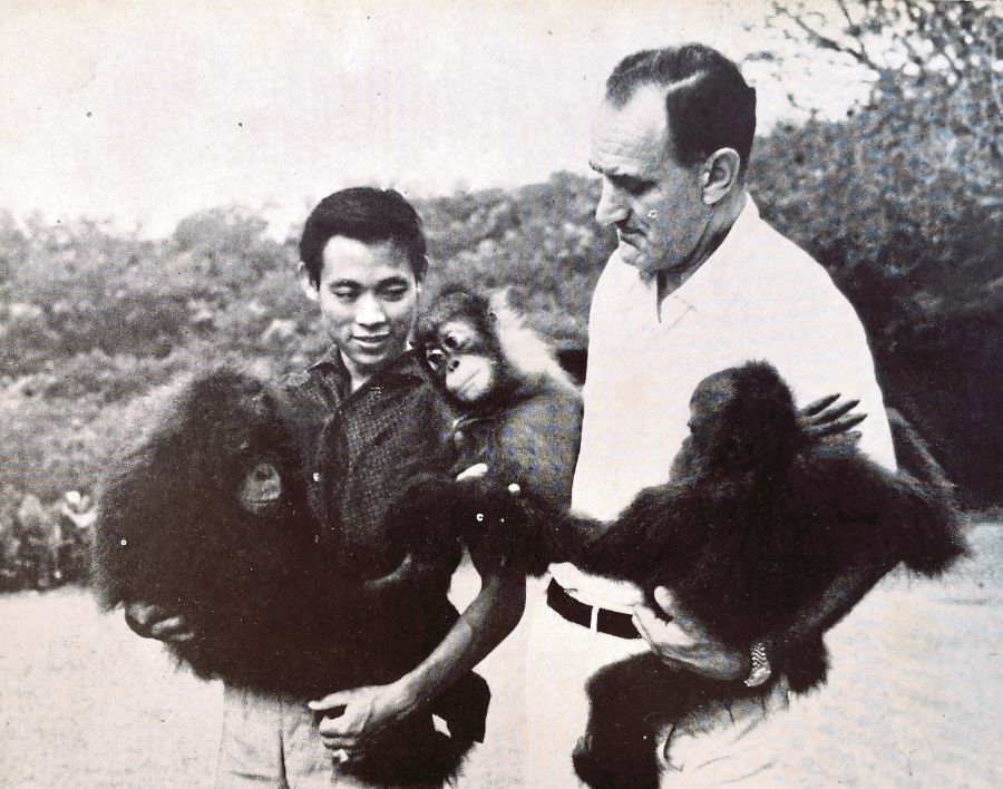 Zoo Negara’s establishment was largely attributed to the overwhelming public response witnessed during the 1958 Malayan Agri-Horticultural Association exhibition.