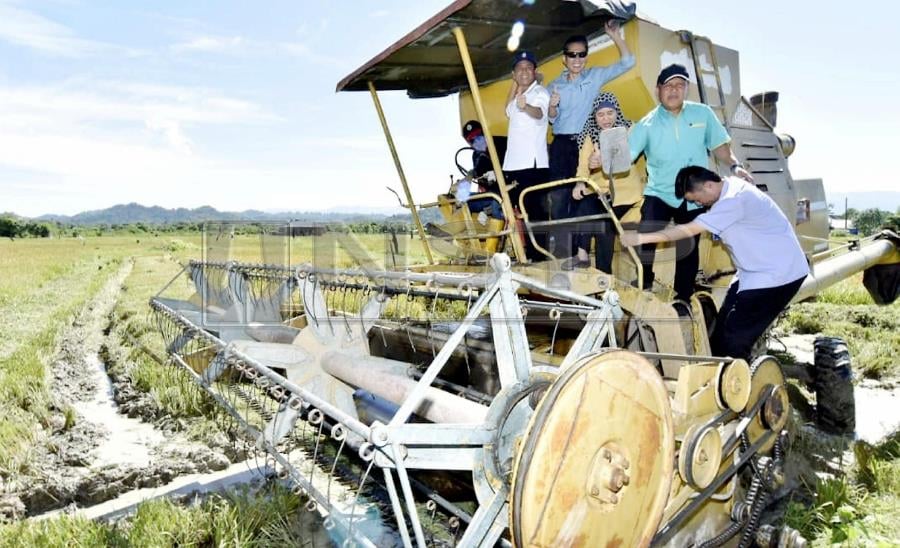 Sabah to study technology to cultivate rice on dry land ...