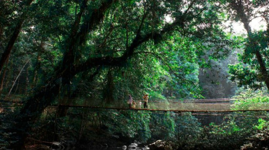 The natural attractions at Tawau Hills park here. Pic courtesy of Sabah Parks