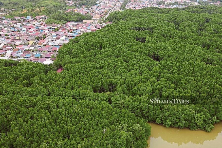 Located in eastern Borneo, the world’s third-largest island, Nusantara is set to replace sinking and polluted Jakarta as Indonesia’s political centre by late 2024. 