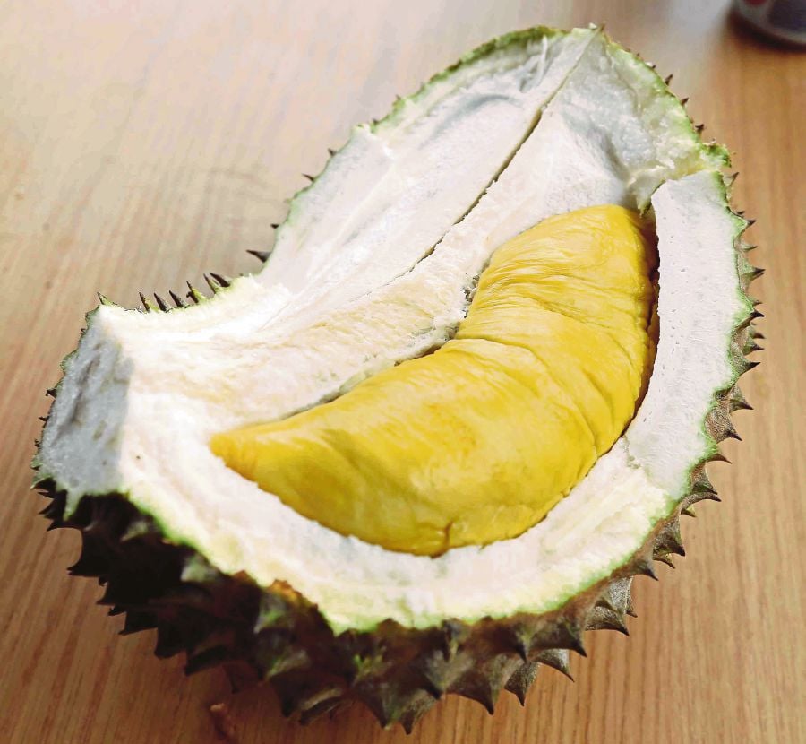 Unduh 97+ Gambar Durian Terbaik Gratis HD