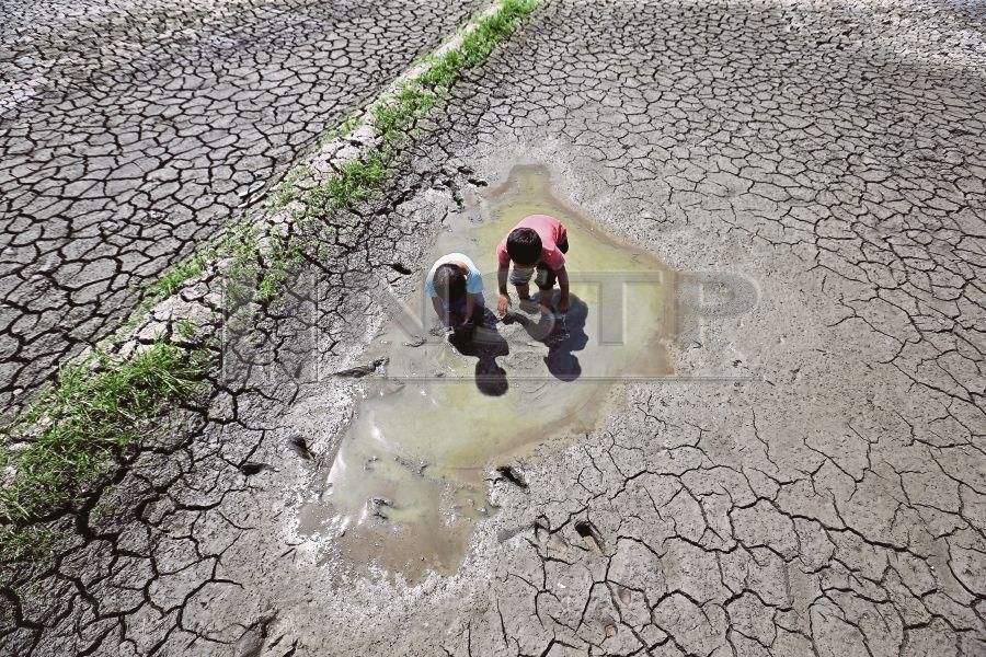 Children playing in a pool of water in a parched padi field in Kampung Sangkir, Kota Belud yesterday. -NSTP/KHAIRULL AZRY BIDIN