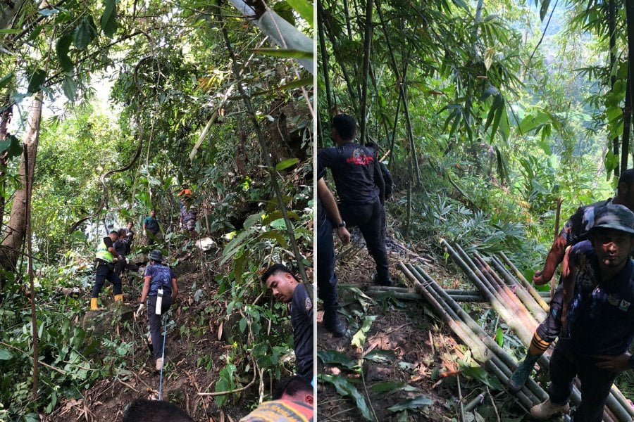 Body of Orang Asli man mauled by tiger found 300m from where he was ...