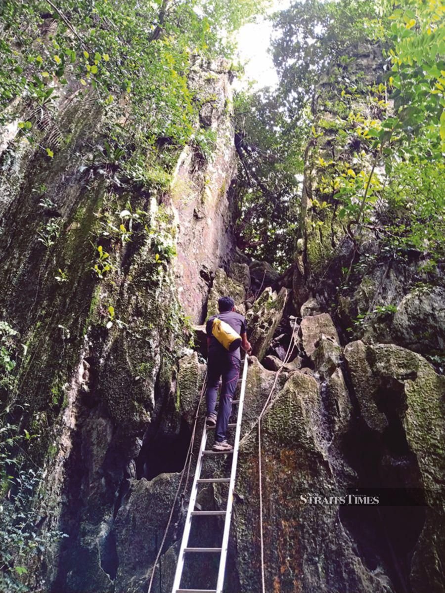 Climbing Bukit Gua Musang starts with a series of almost vertical climbs with the help of ladders and ropes.