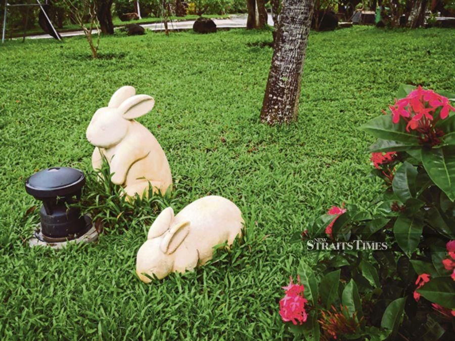 Rabbit lawn ornaments herald the Chinese New Year.