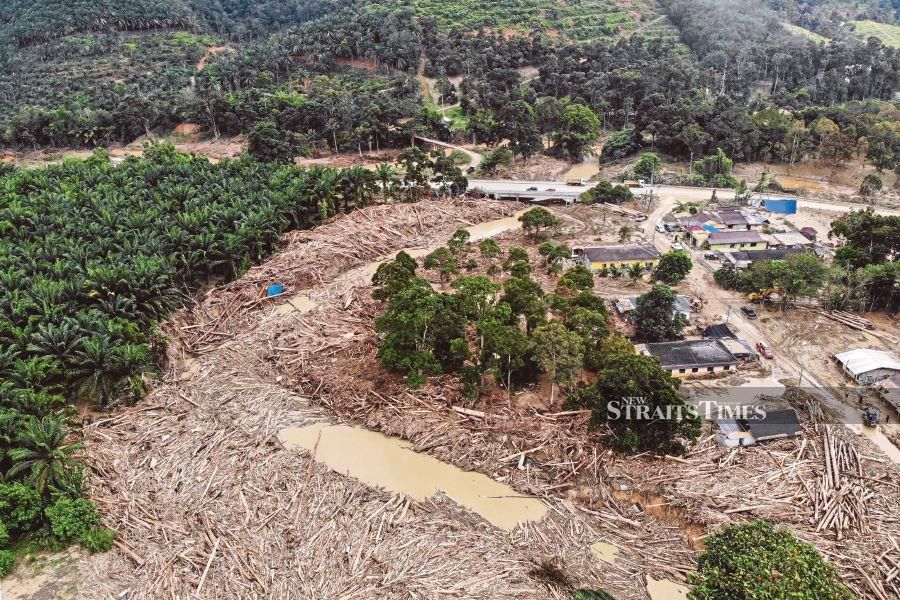 While political party members, non-governmental organisations (NGO) and volunteers have been pouring in to help with the clean-up activities, it still remains unclear who will remove the piles of wood debris and log slides swept into the villages during the floods. - NSTP/AIZUDDIN SAAD