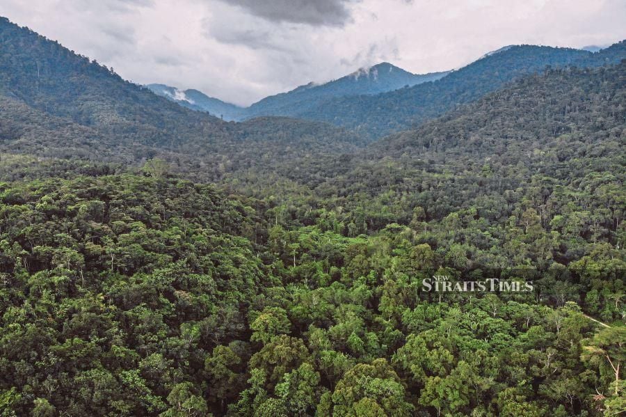 Malaysia is trying its best to achieve the 2030 Sustainable Development Goals agenda. It has met its commitment on forest cover with 53 to 55 per cent of the country’s land area still covered by natural forests. -File pic