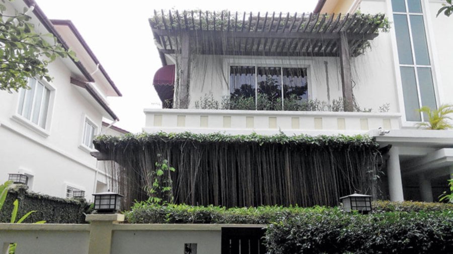 The verdant tropical vines with aerial roots make the perfect curtain to shade the exterior of the house.