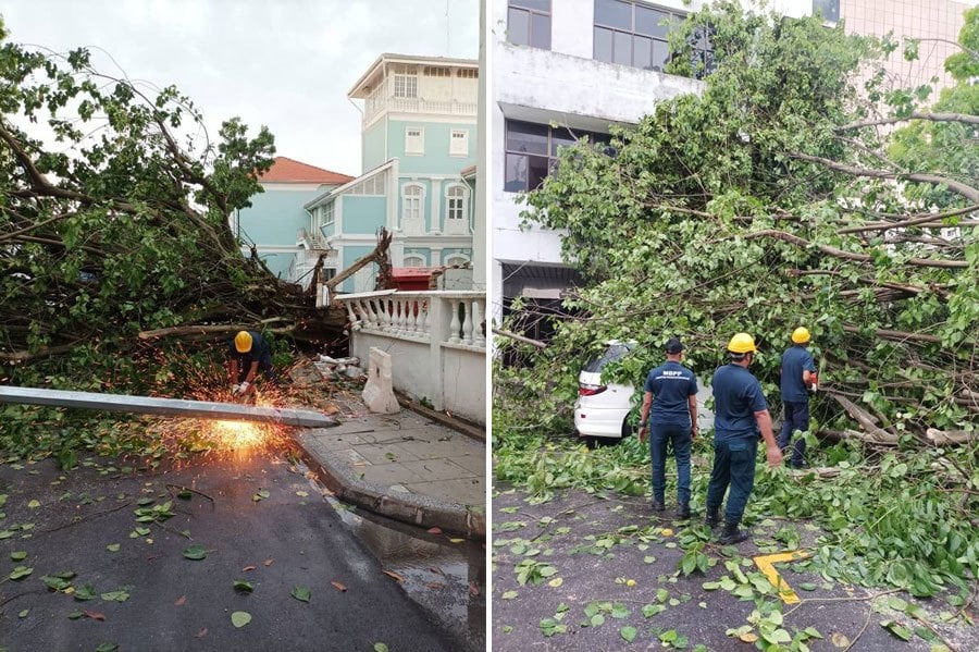 The Penang Island City Council, on its Facebook page, said they received a complaint of uprooted trees at Lebuh Union, which damaged a car. PIC COURTESY OF MBPP