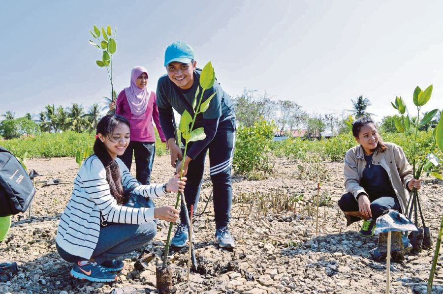 environmental education in malaysia