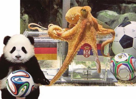 Paul the Octopus achieved instant fame for his match predicting accuracy in the last World Cup. His successor, a panda from the Sichuan Province, is set to be the next star for this year’s World Cup. 