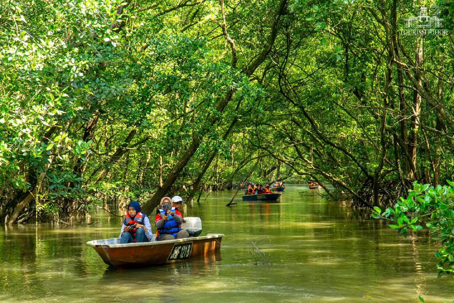 Explorers embark on a serene journey through the lush mangroves of Johor. - File pic credit (Visit Johor Facebook)