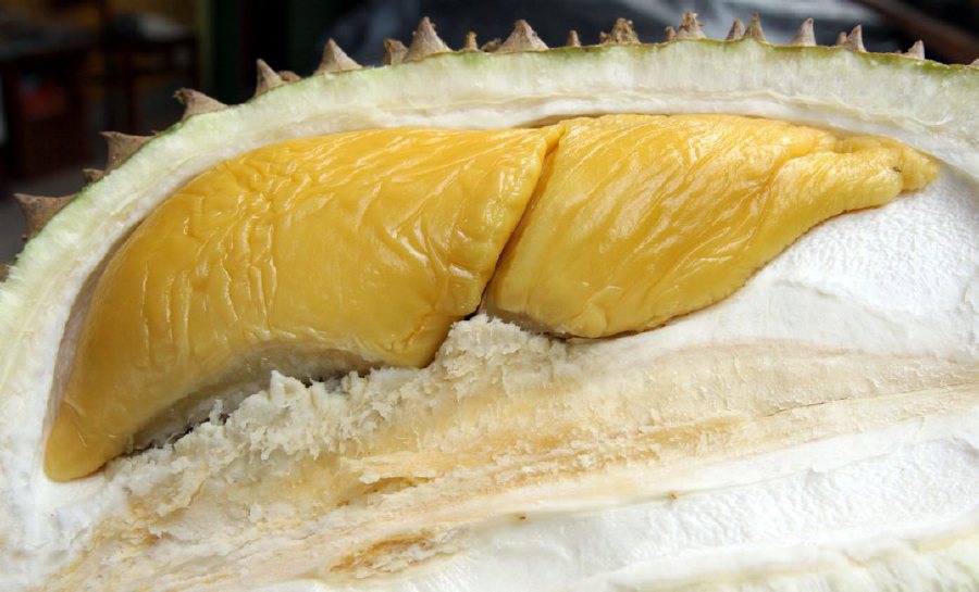 Durian musang king price