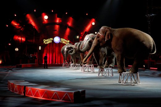 Elephants Perform For Final Time At Ringling Bros Circus New Straits Times Malaysia General