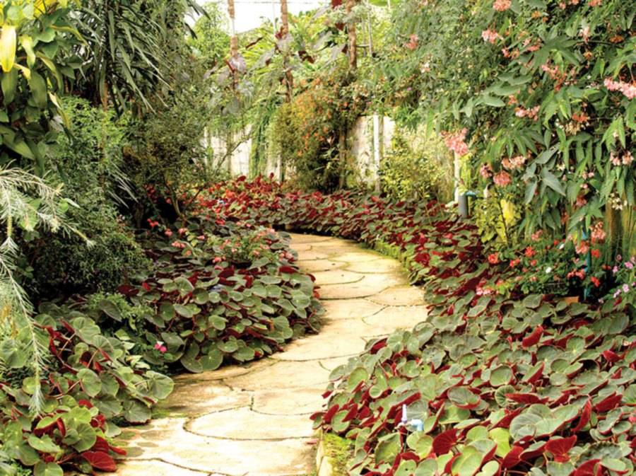 GARDEN PATH - A well-designed and well-built path will enhance the liveability and functionality of any home garden, and provide a convenient route for plant maintenance. You can use angular stones, rounded pebbles or bricks as the walkway and line the sides with shrubs or perennials.