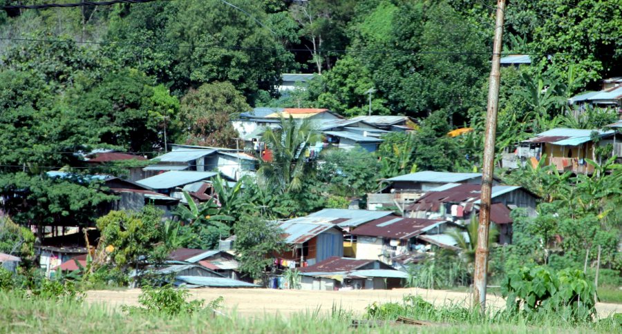 Many workers and their families live in company-provided accommodation that is often located within the plantation complex. File pic