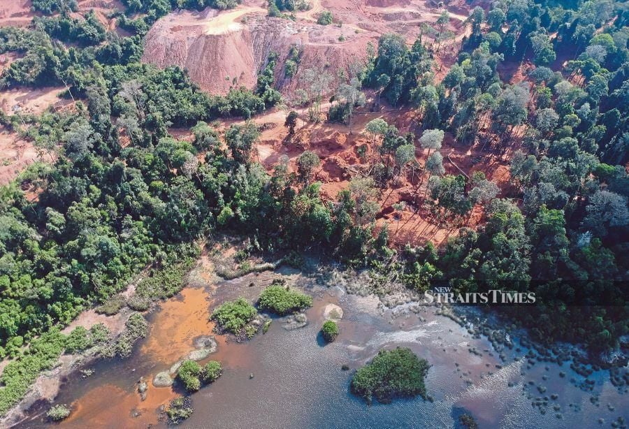 How Can We All Help Conserve Nature Frontiers For Young Minds