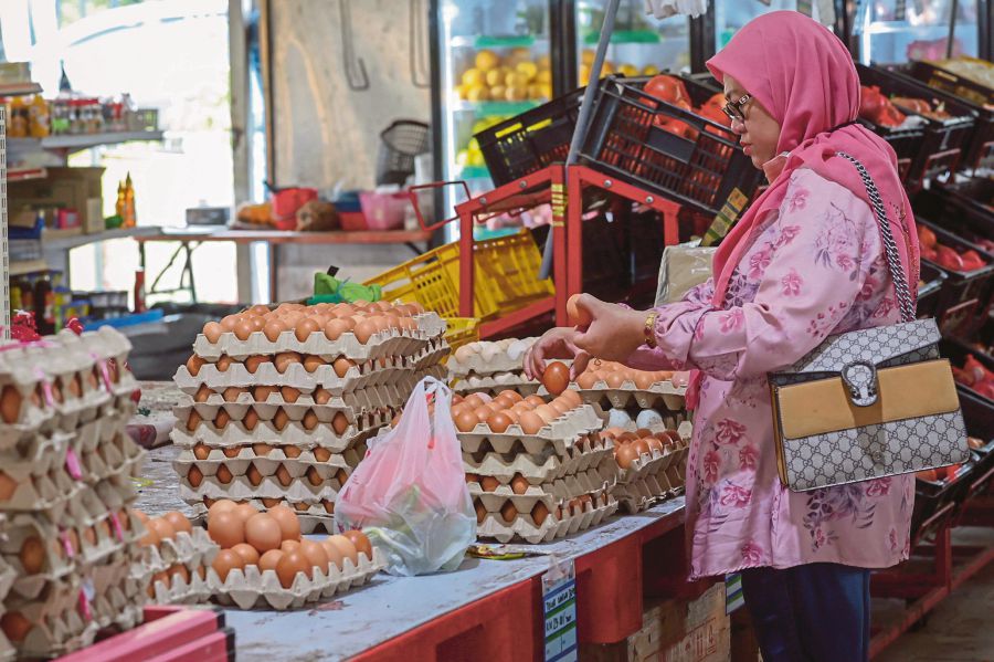  A consumer buying eggs at MyFarm Outlet Kasih Putrajaya in Precinct 9, Putrajaya on Tuesday. BERNAMA PIC 