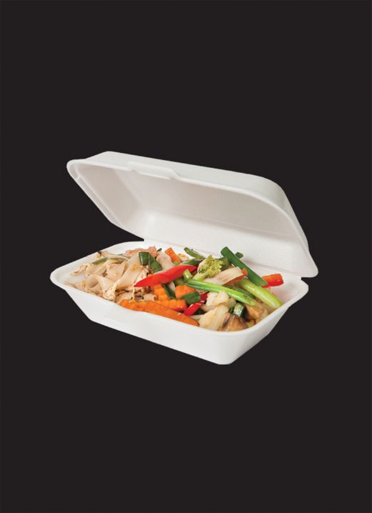 The Dangers Of Using Styrofoam Containers New Straits Times 