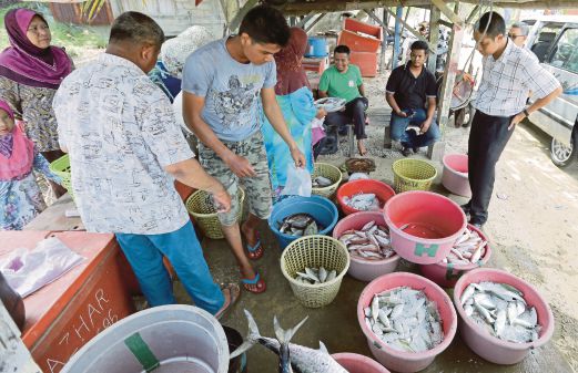 Fresh, cheaper seafood at Kg Pulau Gajah's jetty | New Straits Times