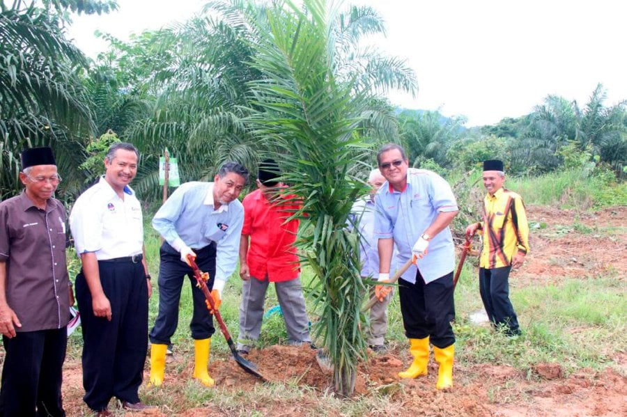 Innovative Terengganu school profiting after transforming idle land ...