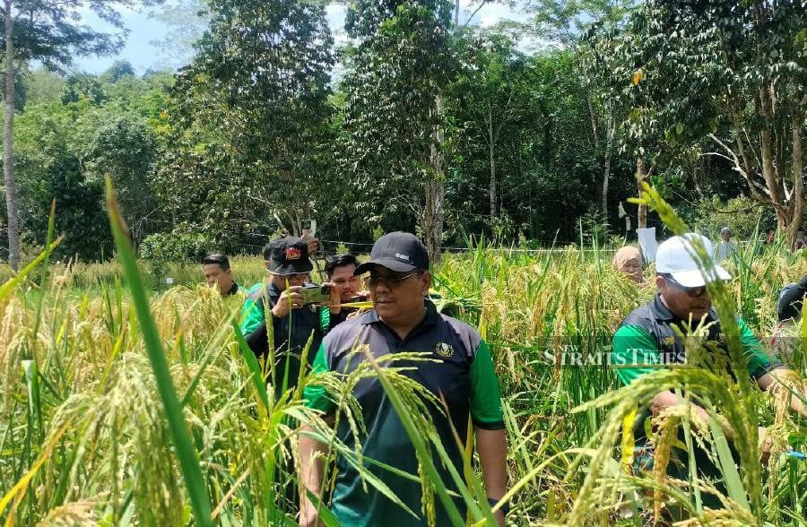 Menteri Besar Datuk Seri Muhammad Sanusi Md Nor said the state government through the Kedah State Water Resources Board (LSANK) has approved the proposal mooted by the federal government in 2018. NSTP/NOORAZURA ABDUL RAHMAN