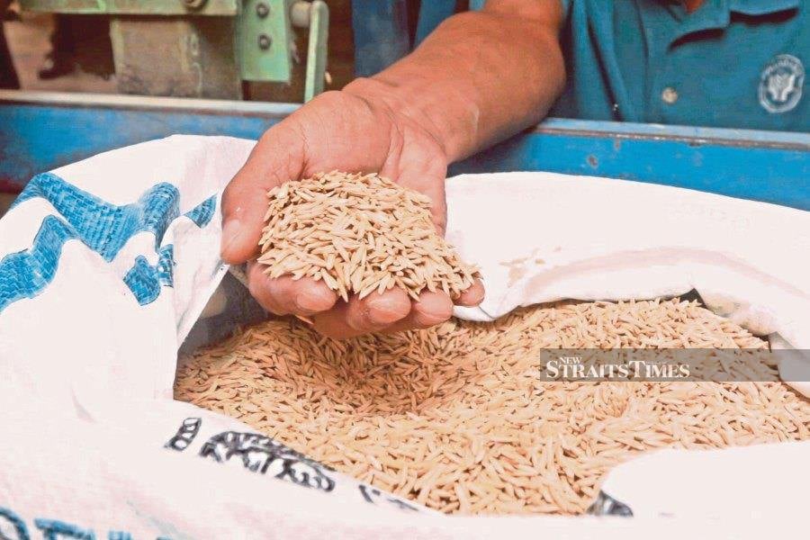 An assurance has been given to the Muda Agriculture Development Authority (Mada) that there will be a sufficient supply of certified padi seeds for the current cultivation cycle. NSTP FILE PIC