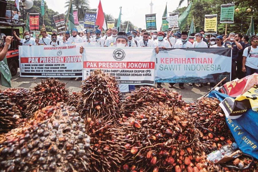 Indonesian Farmers Stage Protests Against Palm Oil Export Ban | KLSE ...