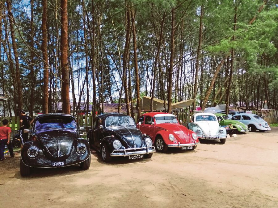 A long line of Beetles, Kombis,Transporters and many other classic Volkswagen models gathering at Pantai Geting, Tumpat, Kelantan, for the Bekwoh 3.0 event.