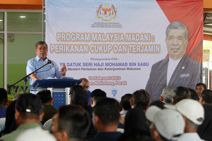 Mat Sabu: Govt To Review Chicken, Egg Subsidies In June | New Straits ...