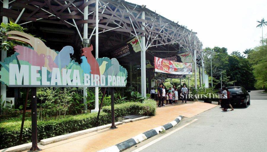 Melaka Bird park expected to reopen in March next year | New Straits ...