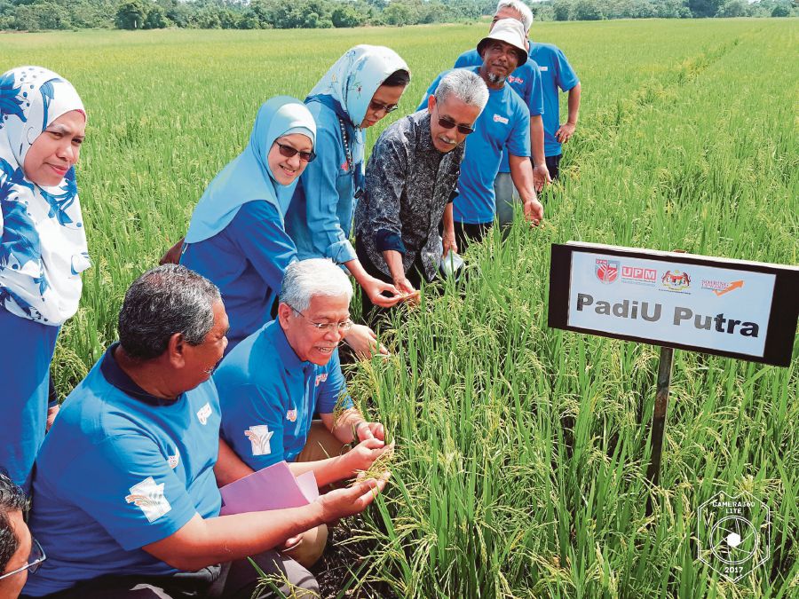 BN Manifesto: Best education promises  New Straits Times 