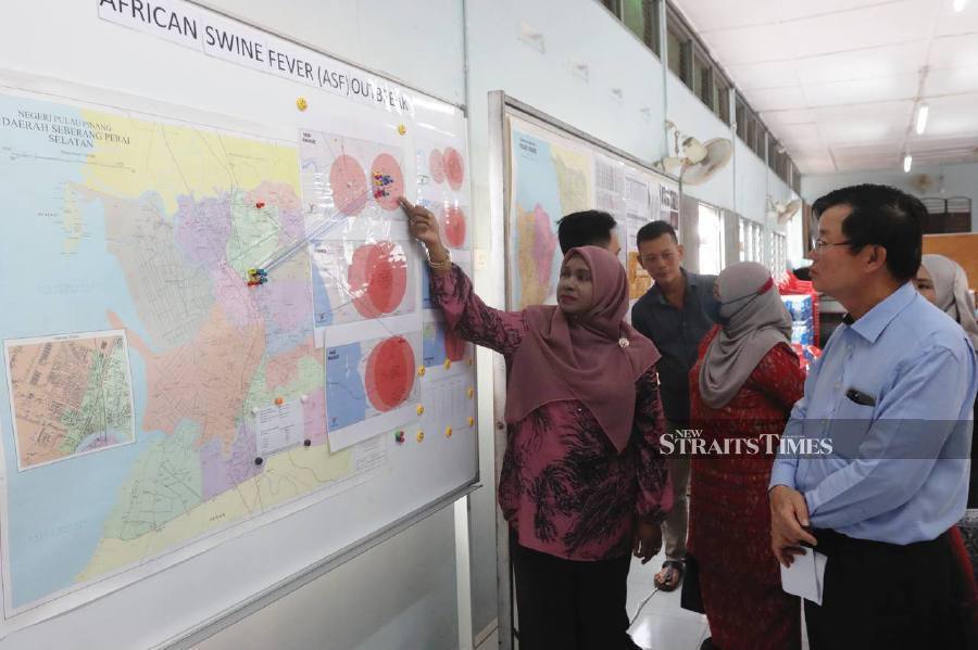 ASF worsens in Penang, another seven farms affected, including in SPU