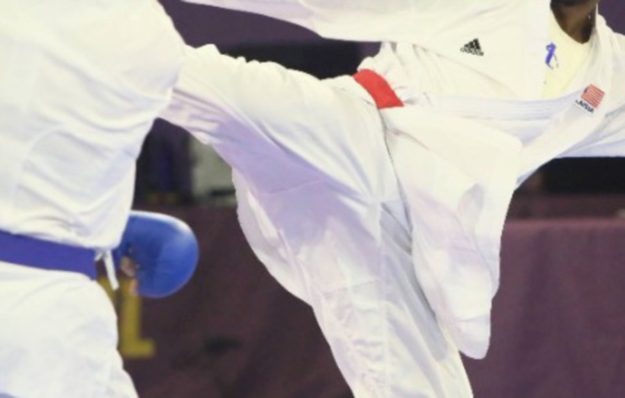 The Malaysian contingent achieved their 36 gold-medal target at the Hanoi Sea Games thanks to the men’s karate team today. -File pic, for illustration purpose only