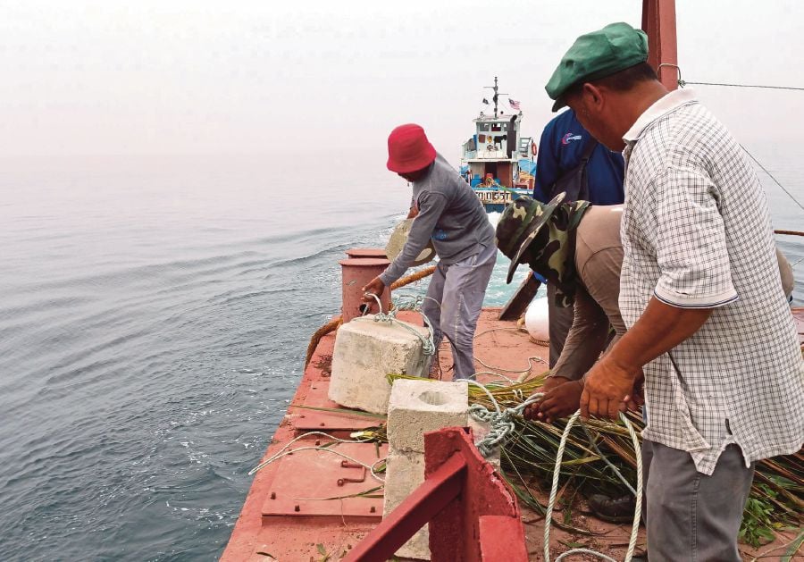 Efficacy of artificial reefs in marine fisheries conservation | New ...