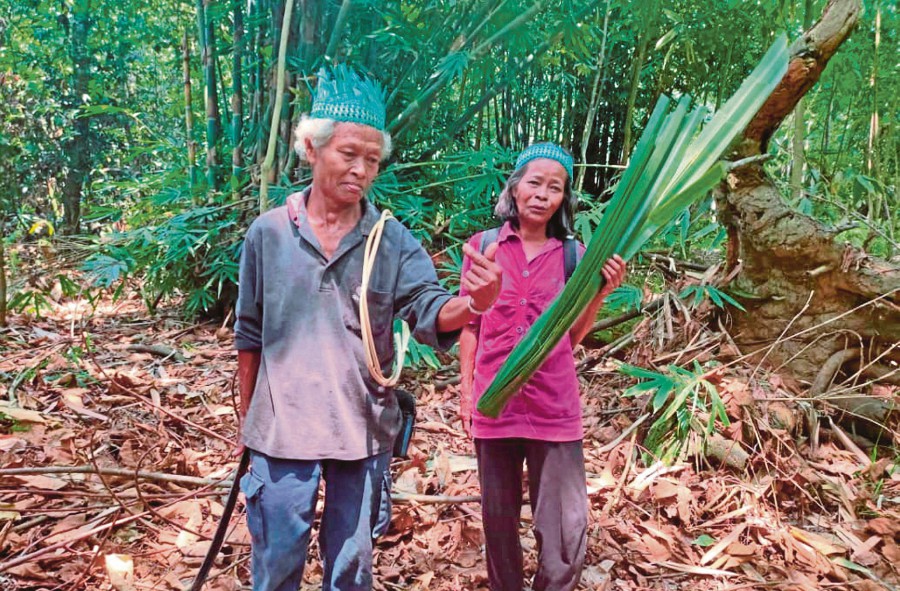 Orang Asli at the Kuala Langat North Forest Reserve. -Pic Courtesy of GEC
