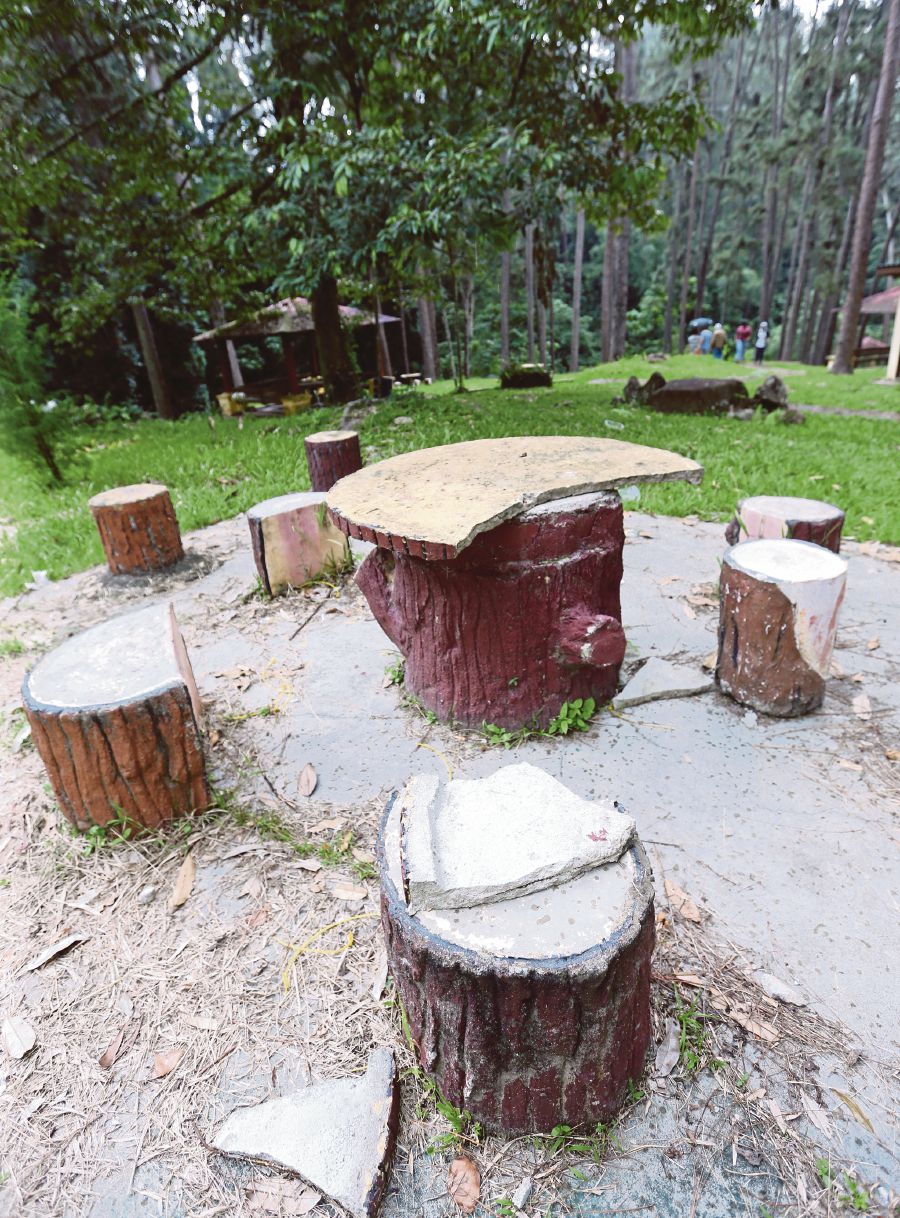  Some facilities at the Coniferous Forest Park in Bukit Tinggi, Pahang, have broken sharp edges that pose a danger to visitors. Pix by Rosela Ismail