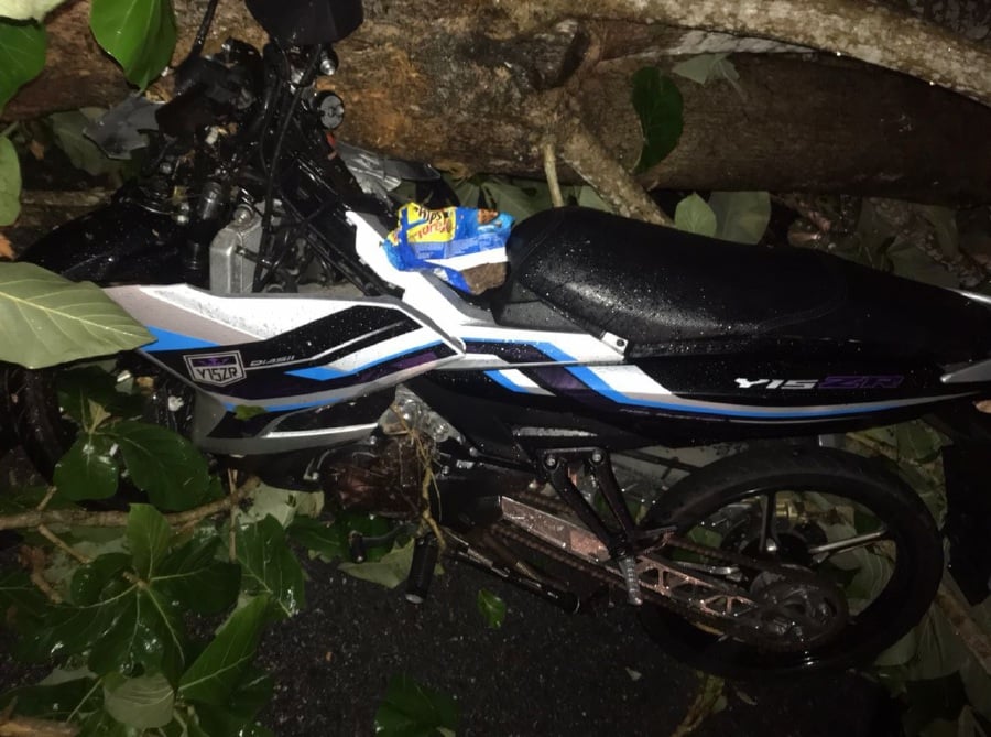 KANGAR: A woman had a miscarriage when the motorcycle she was riding with her husband was hit by an uprooted tree during a storm in Simpang Empat here today. NSTP/POLICE