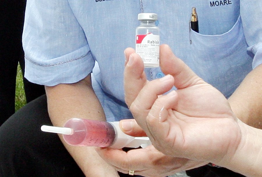 Claims on shortage of rabies vaccines in Sarawak untrue: Health