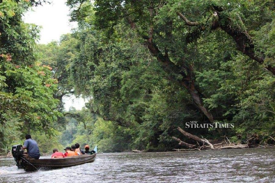 The return of visitors to Kuala Tahan National Park has brought relief to 400 ecotourism operators-- tourist guides, chalet owners and boat operators who can now revive their businesses and income, following two years of literally being in the wilderness, during the Covid-19 pandemic. -NSTP/ROSELAN AB MALEK