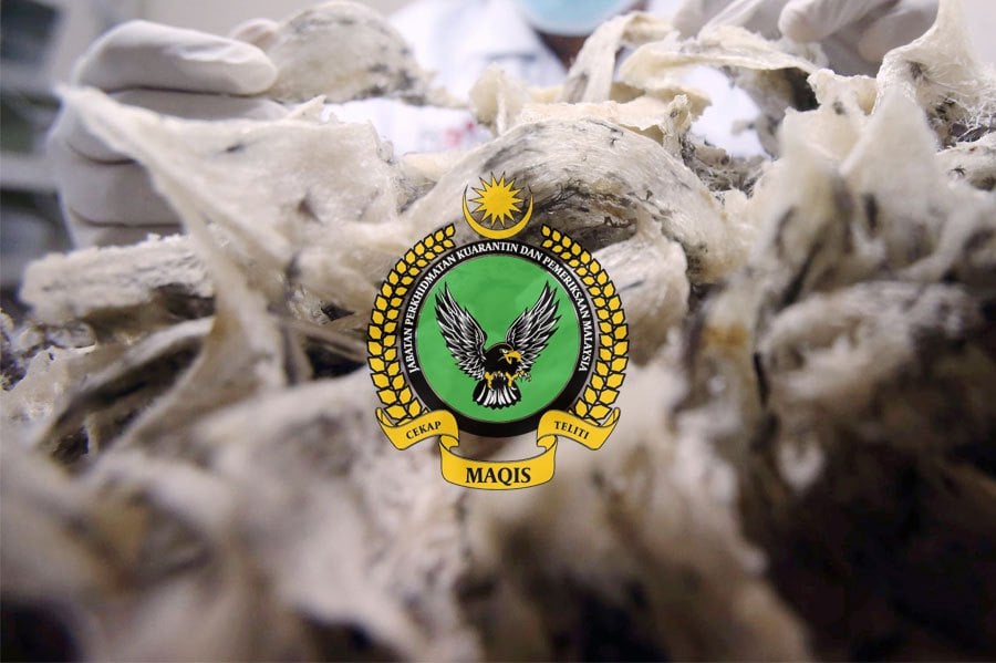 The Malaysian Quarantine and Inspection Services Department (Maqis) has confiscated 2kg of bird's nests at Kuala Lumpur International Airport (KLIA) Terminal 2. FILE PIC, FOR ILLUSTRATION PURPOSE ONLY.