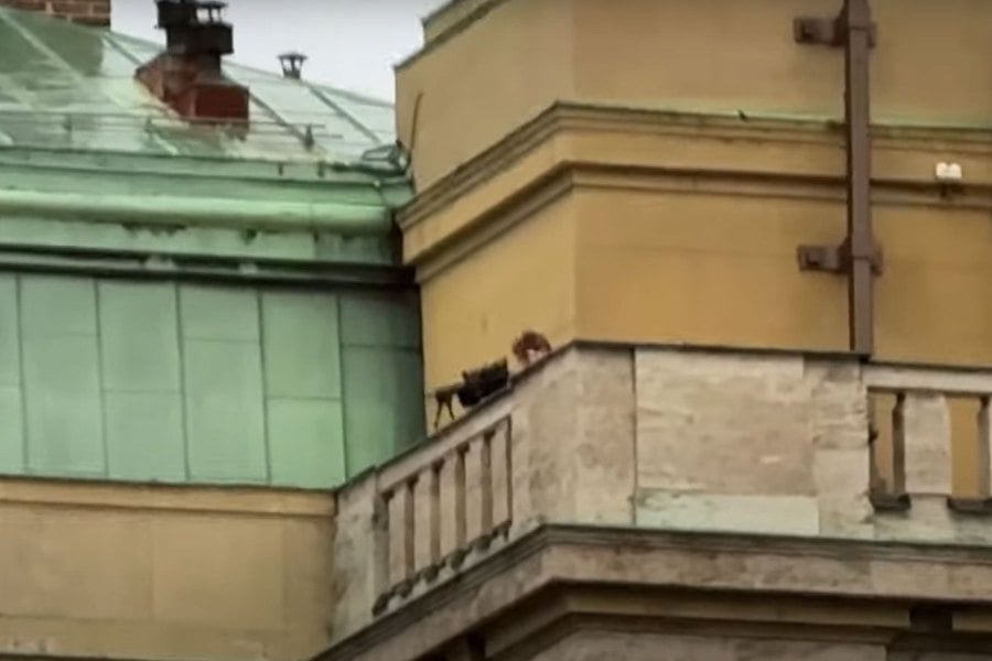 A video shows the dramatic moments when a student armed with a rifle fired at people from a balcony at Prague’s Charles University on Thursday (Dec 21). PIC SCREEN CAPTURE FROM REUTERS VIDEO