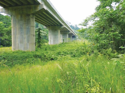  The animal crossing below a viaduct in Sungai Deka, Terengganu, will reduce human and animal conflicts.