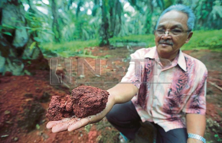 The Bauxite Boom And Bust