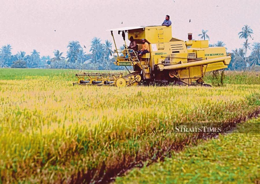 The Malaysian Padi Farmers Brotherhood Organisation (Pesawah) is urging the government to increase the ceiling price of local white rice following the implementation of targeted subsidies for diesel .File pic